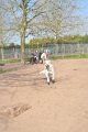 Afb_20170409w (8)